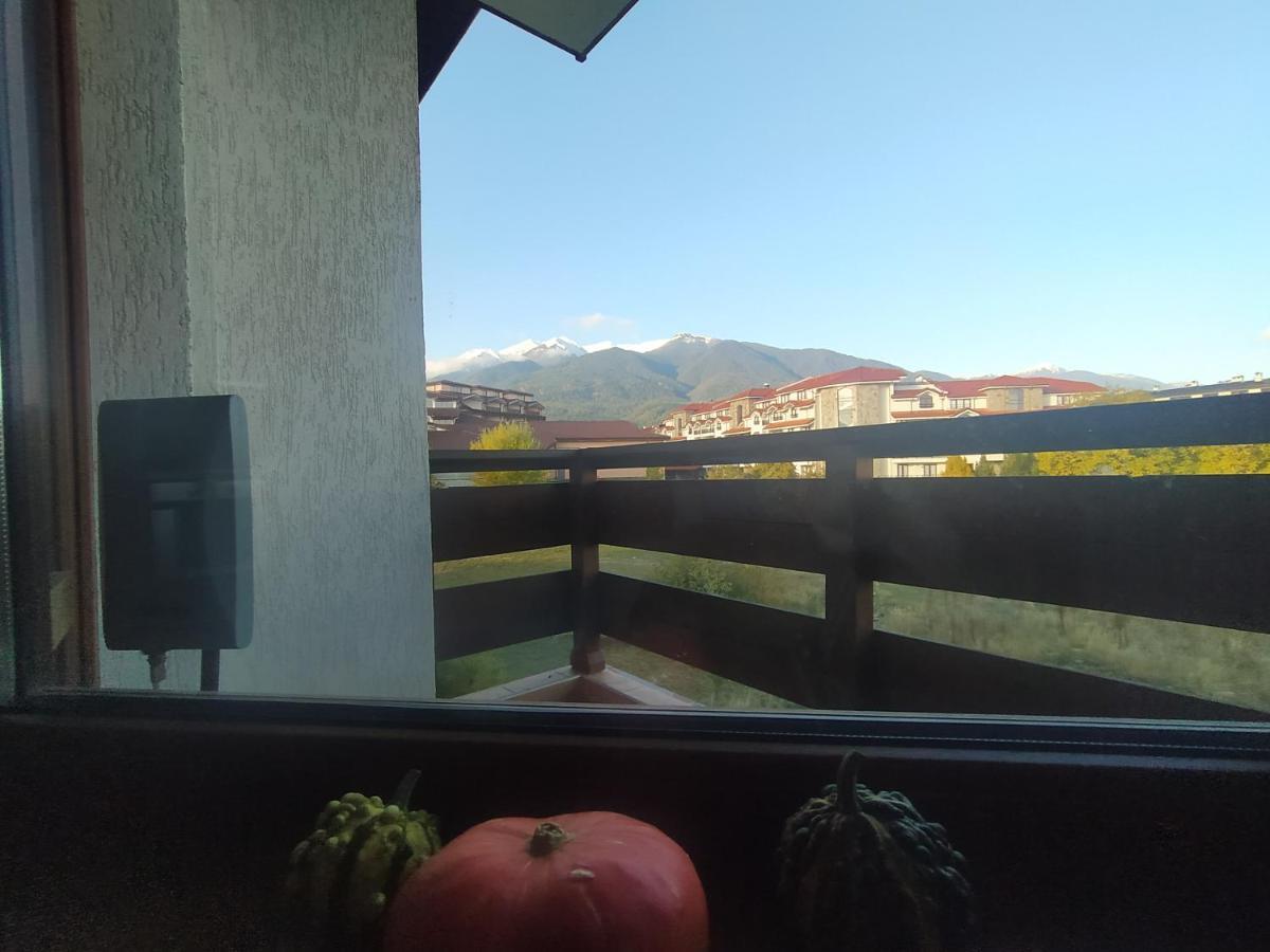 Pine Tree Studio B11 Bansko Dış mekan fotoğraf