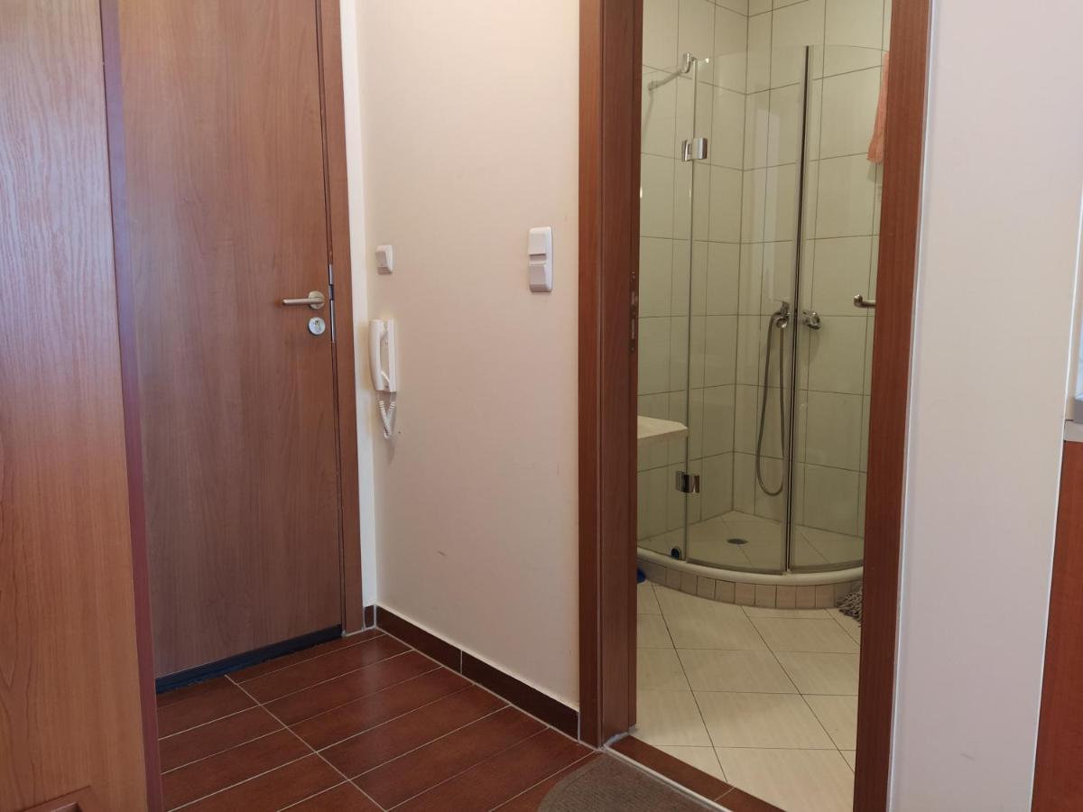 Pine Tree Studio B11 Bansko Dış mekan fotoğraf
